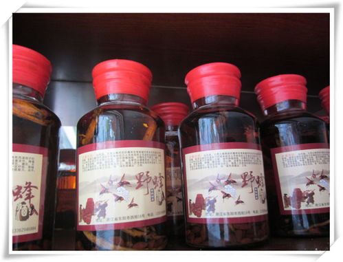 蘭溪嘉行養生酒 精品酒類批發優選，輔仁路優質供應商